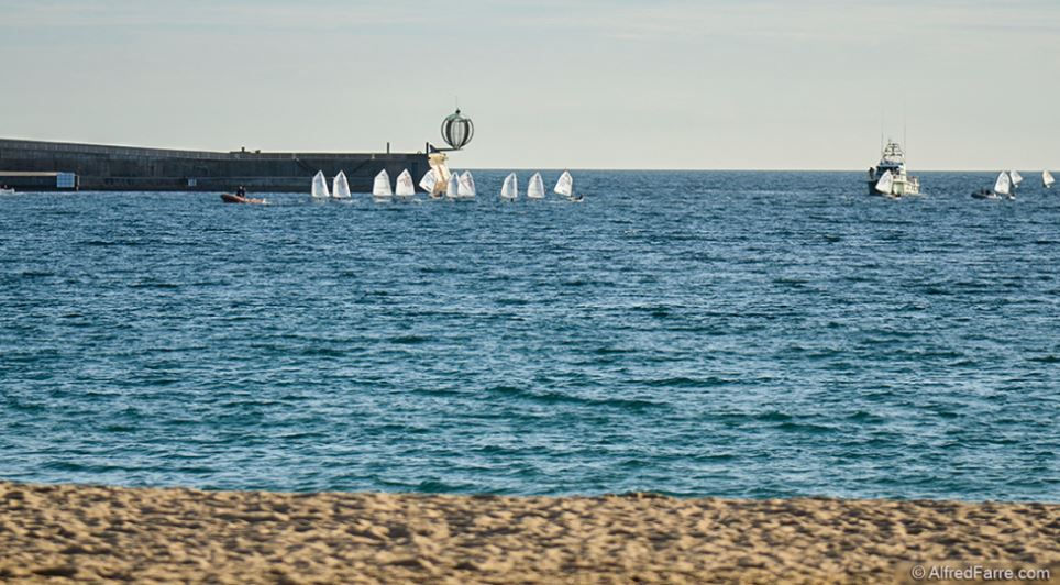 Palamós Optimist Trophy, vela, Optimist, deporte náutico, competición náutica